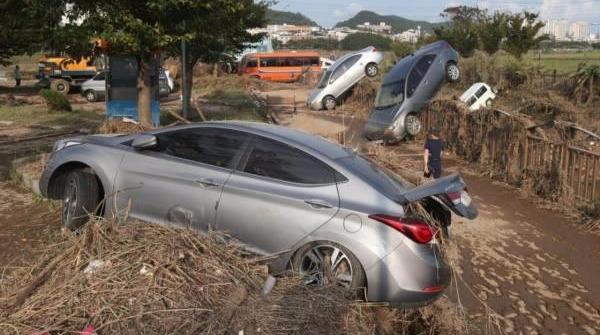 台风“利奇马”过境，造成的车辆损坏，该如何申请保险赔偿？